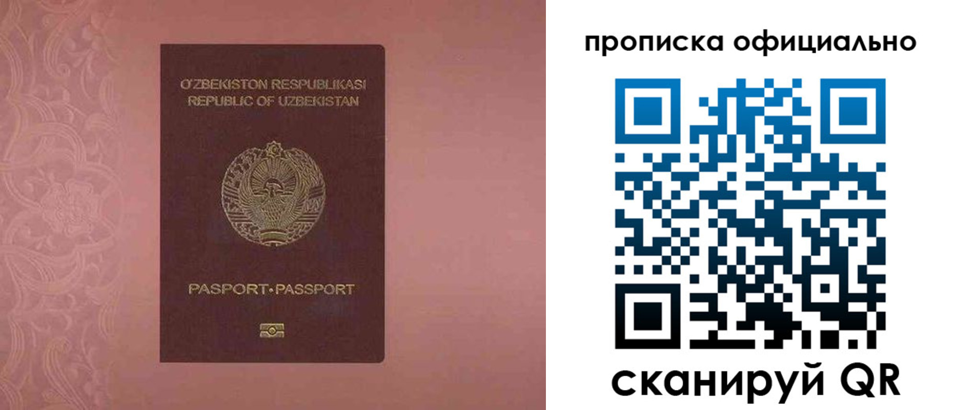 прописка для школы в Ачинске